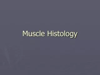 Muscle Histology