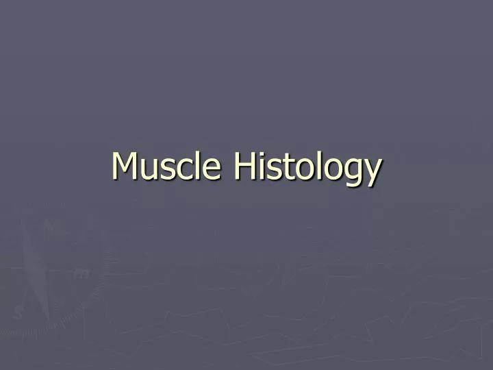 muscle histology