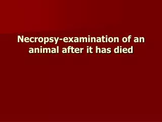 Necropsy-examination of an animal after it has died