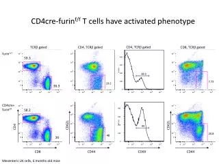 CD4cre-furin f/f T cells have activated phenotype
