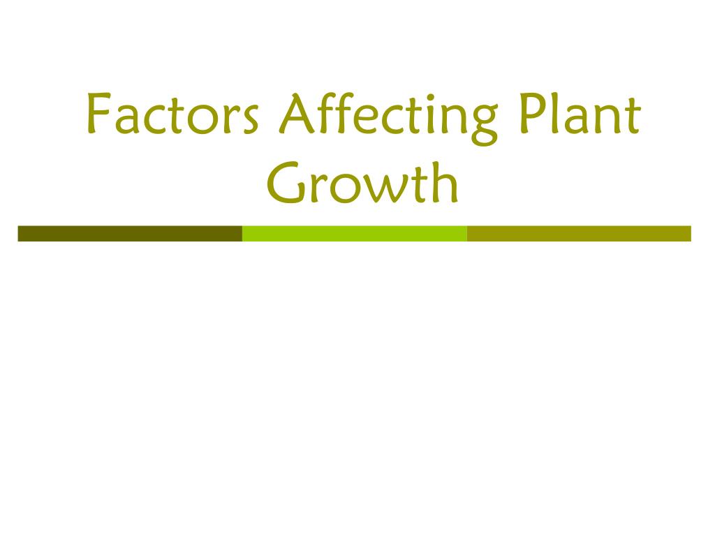 PPT - Factors Affecting Plant Growth PowerPoint Presentation, free ...