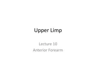 Upper Limp
