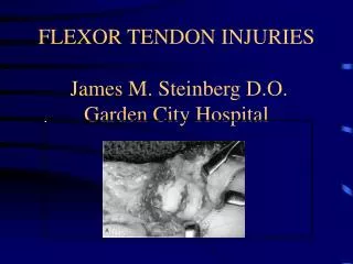 FLEXOR TENDON INJURIES James M. Steinberg D.O. Garden City Hospital