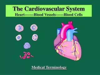 The Cardiovascular System Heart-------Blood Vessels------Blood Cells