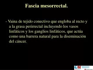 Fascia mesorrectal.