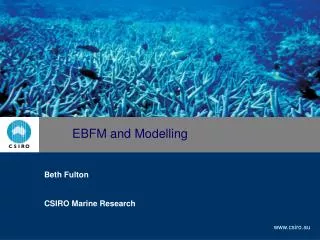 EBFM and Modelling