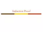 Induction Proof - slide 1