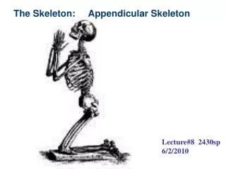 The Skeleton: Appendicular Skeleton