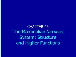 CHAPTER 46 The Mammalian Nervous System: Structure and Higher Functions