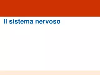 il sistema nervoso