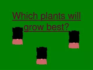Which plants will grow best?