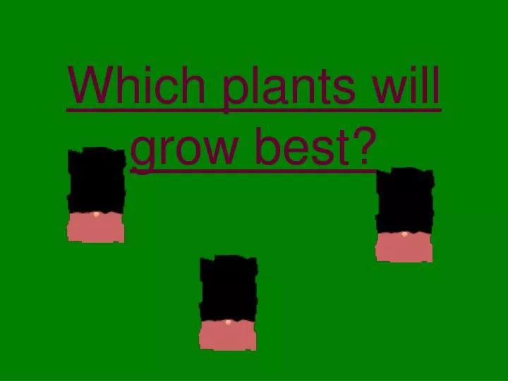 which plants will grow best