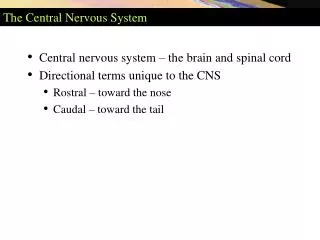 The Central Nervous System