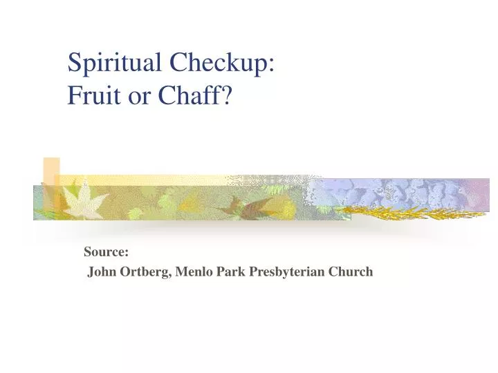 spiritual checkup fruit or chaff