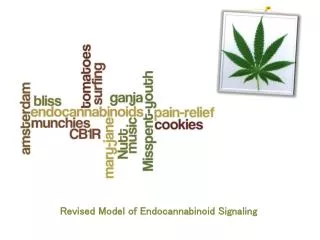 Revised Model of Endocannabinoid Signaling