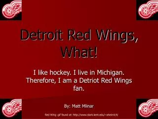 Detroit Red Wings, What!