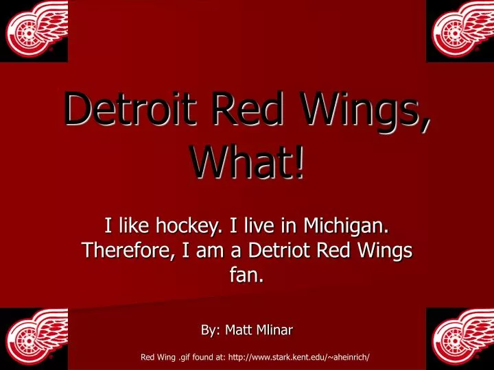 detroit red wings what
