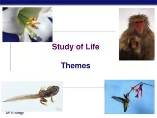 Study of Life Themes