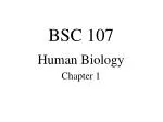 BSC 107
