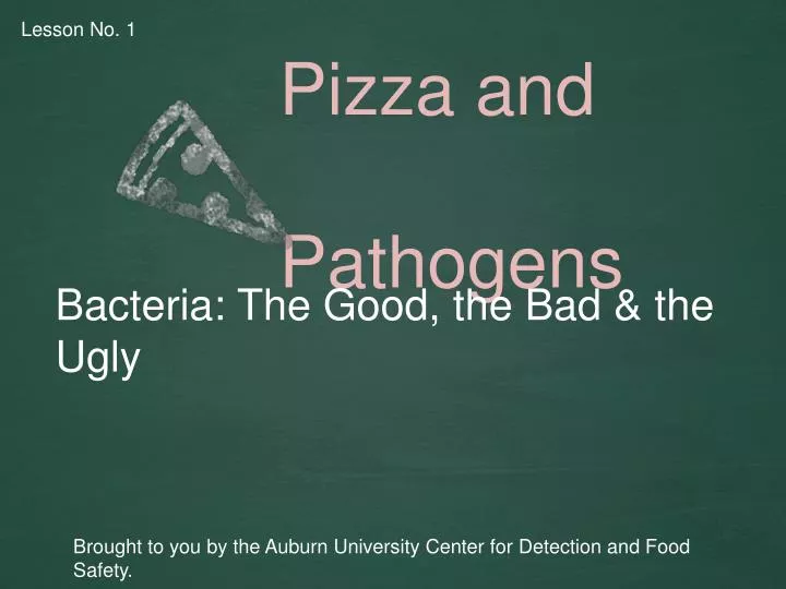 pizza and pathogens