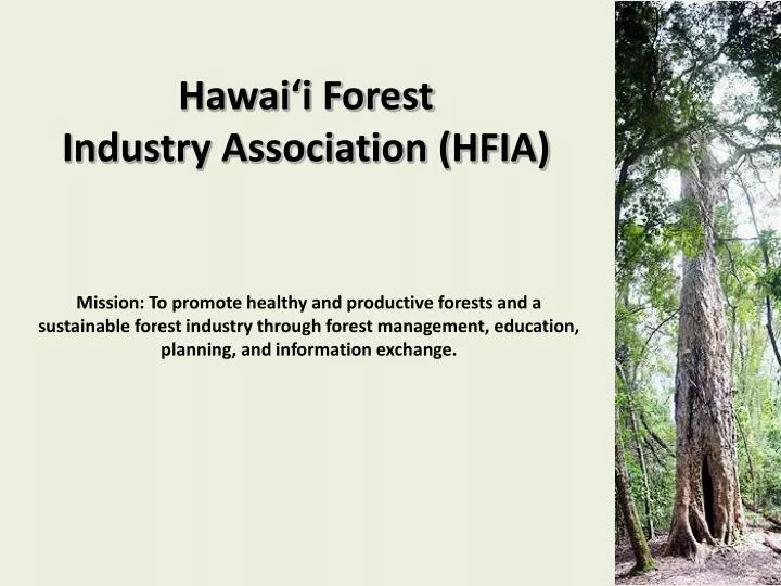 hawai i forest industry association hfia