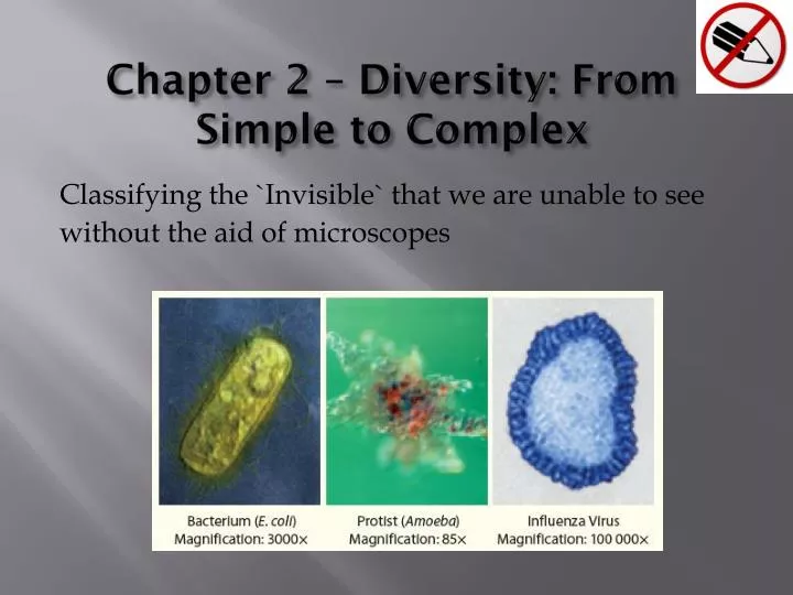 chapter 2 diversity from simple to complex