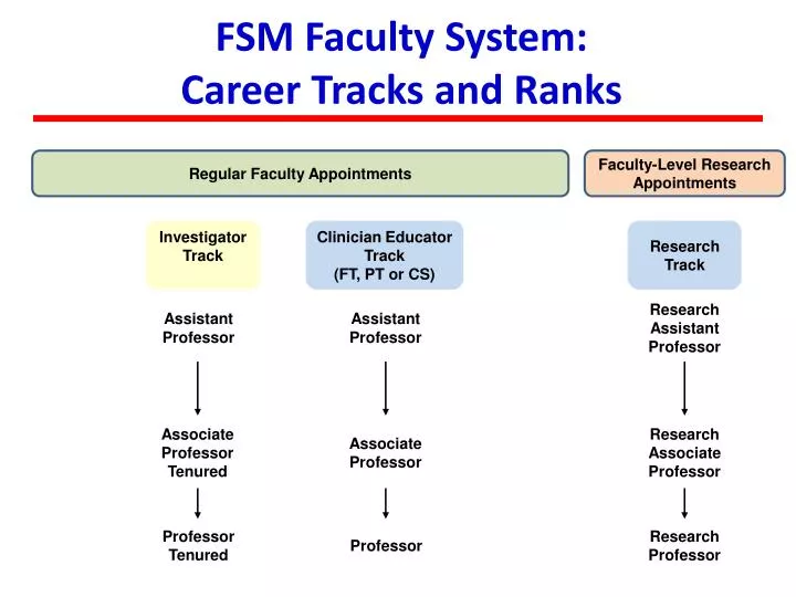 fsm faculty system career tracks and ranks