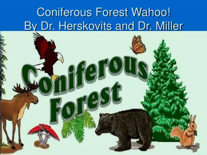 coniferous forest wahoo by dr herskovits and dr miller