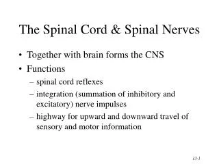 The Spinal Cord &amp; Spinal Nerves