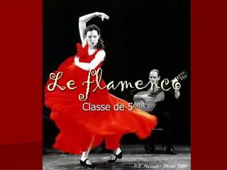 le flamenco