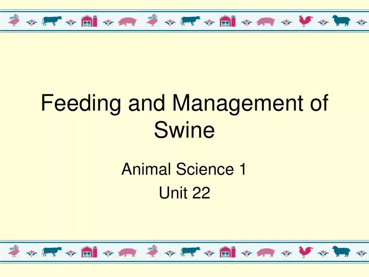 feeding and management of swine