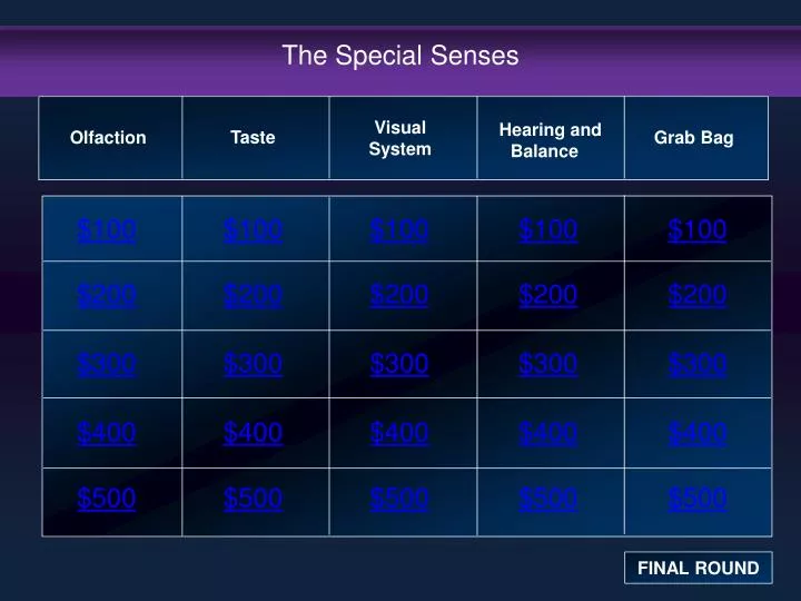 the special senses