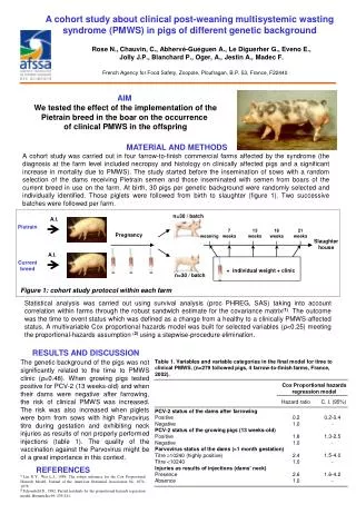 A cohort study about clinical post-weaning multisystemic wasting syndrome (PMWS) in pigs of different genetic background