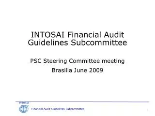 INTOSAI Financial Audit Guidelines Subcommittee