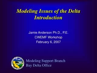 Modeling Issues of the Delta Introduction