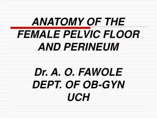 ANATOMY OF THE FEMALE PELVIC FLOOR AND PERINEUM Dr. A. O. FAWOLE DEPT. OF OB-GYN UCH