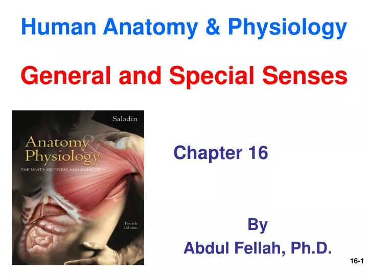 human anatomy physiology