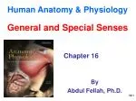 Human Anatomy &amp; Physiology - slide 1