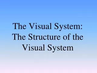 the visual system the structure of the visual system