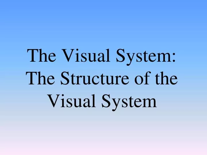 the visual system the structure of the visual system