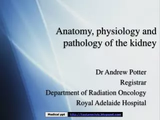Anatomy, physiology and pathology of the kidney