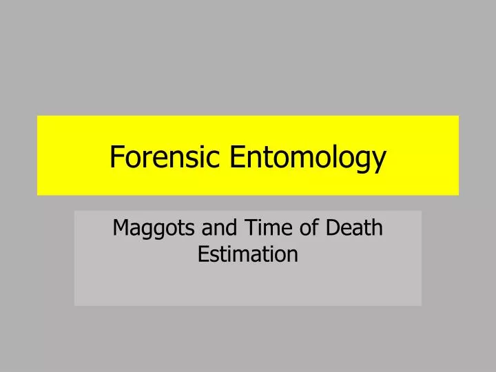 forensic entomology