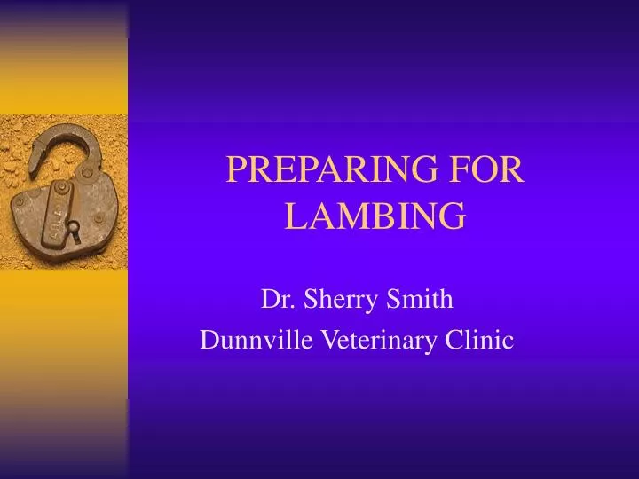 preparing for lambing