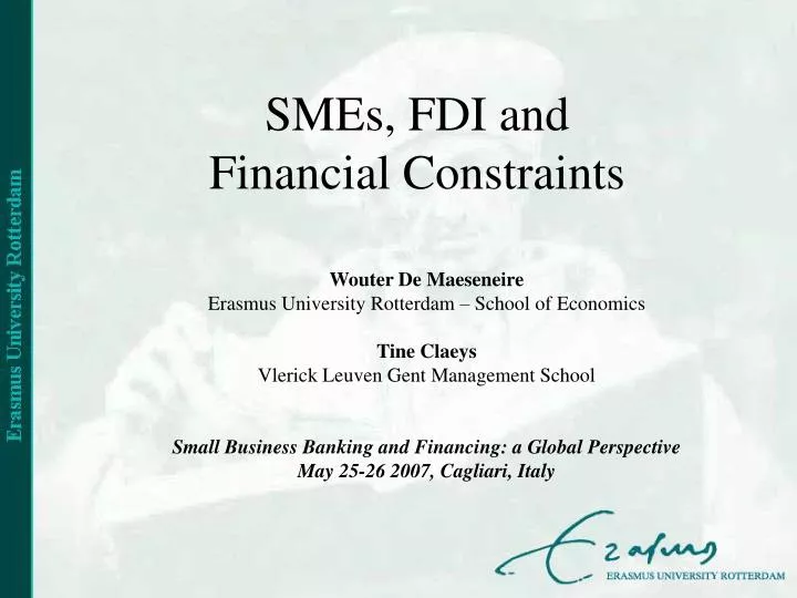 smes fdi and financial constraints
