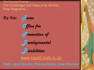 The Prenatal Promise: The Challenges and Hope of an Alcohol Free Pregnancy