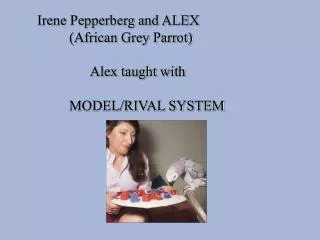Irene Pepperberg and ALEX 	(African Grey Parrot) 	 Alex taught with 	MODEL/RIVAL SYSTEM