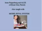 Irene Pepperberg and ALEX 	(African Grey Parrot) 	 Alex taught with 	MODEL/RIVAL SYSTEM - slide 1