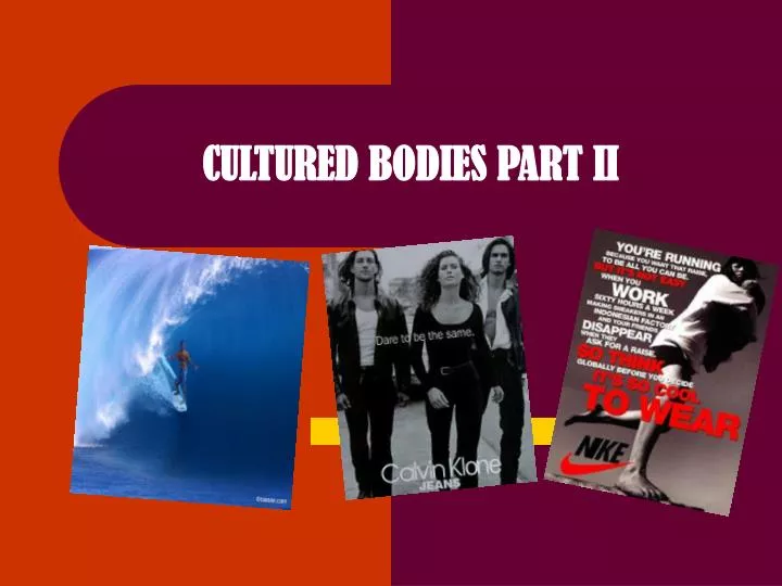 cultured bodies part ii