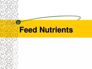 feed nutrients