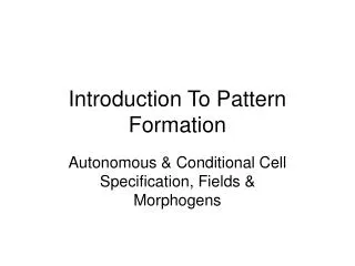 Introduction To Pattern Formation